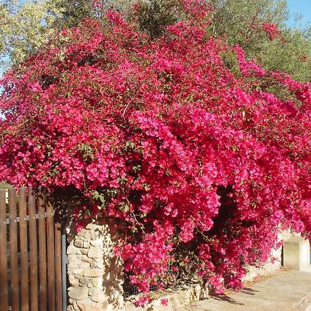 Casa A 300Mt.Dal Mare Calasinzias, 6 Letti, Ac, Pets Welcome, Wi-Fi Free Cala Sinzias Экстерьер фото
