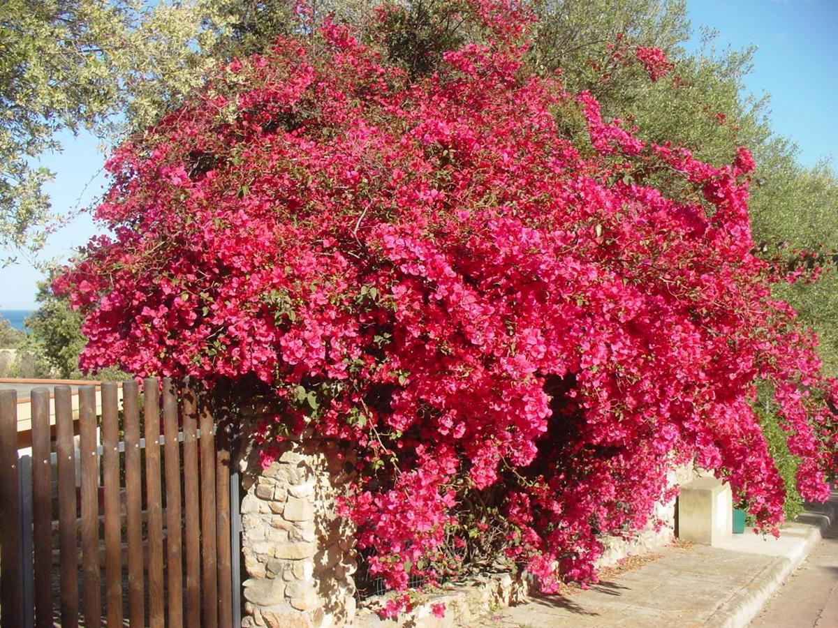 Casa A 300Mt.Dal Mare Calasinzias, 6 Letti, Ac, Pets Welcome, Wi-Fi Free Cala Sinzias Экстерьер фото