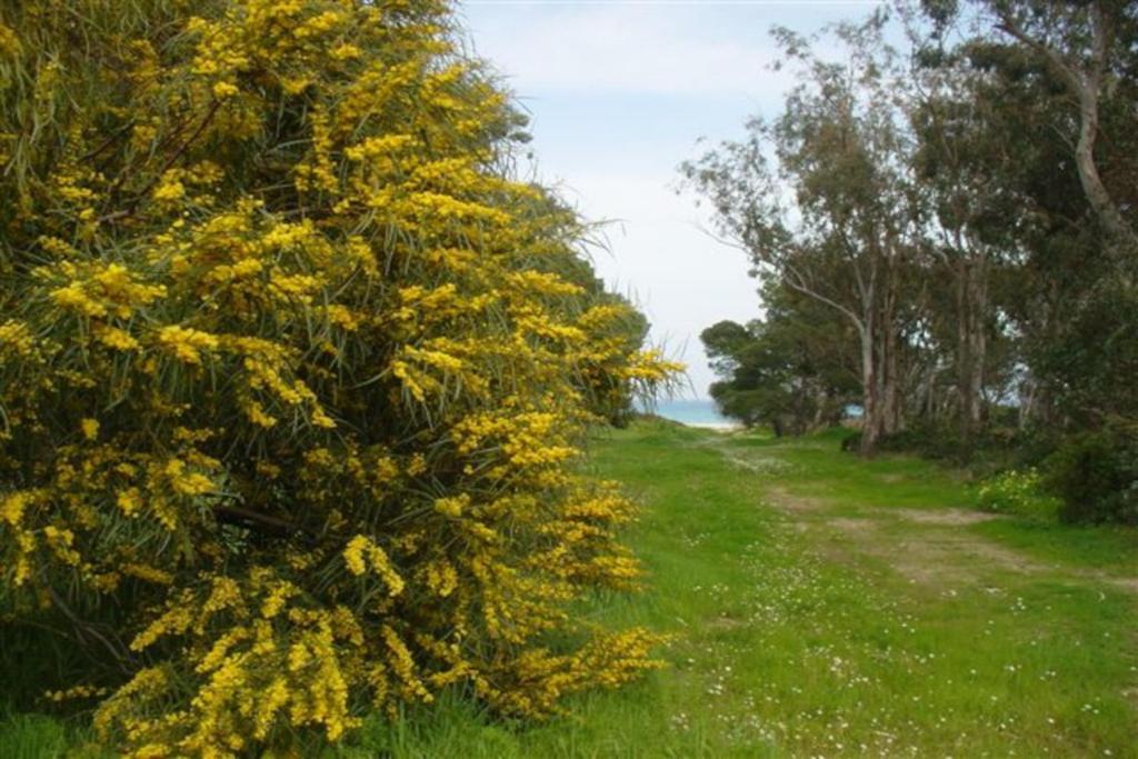 Casa A 300Mt.Dal Mare Calasinzias, 6 Letti, Ac, Pets Welcome, Wi-Fi Free Cala Sinzias Экстерьер фото